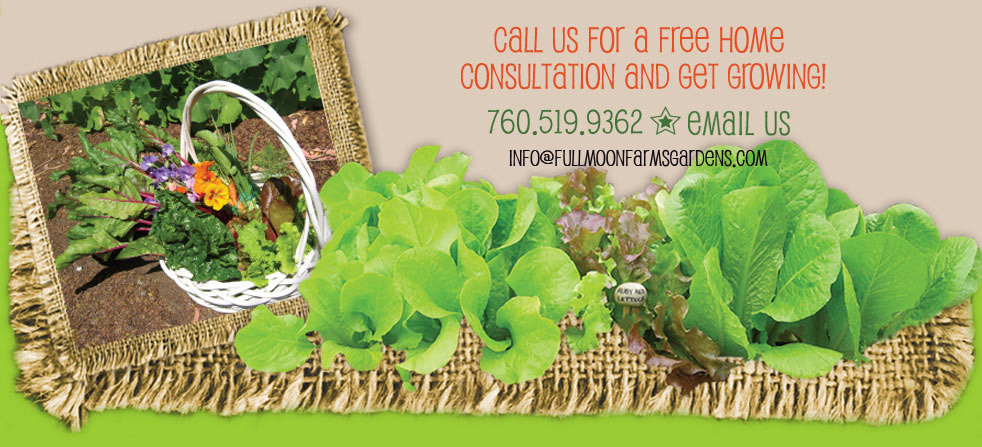 contact us today  for urban vegetable farming 760.519.9362